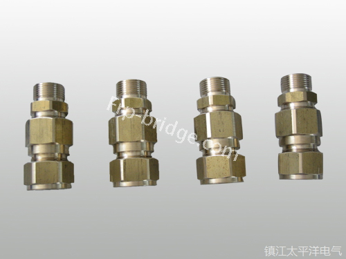 黃銅铠裝(zhuāng)電纜密封接(jiē)頭
