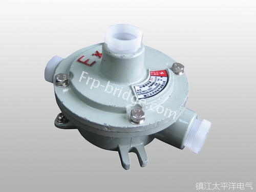 AH型防爆接(jie)線盒二通(tōng)吊